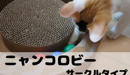 【レビュー】ニャンコロビーサークルタイプ！猫が勝手に遊んでくれるおもちゃです！