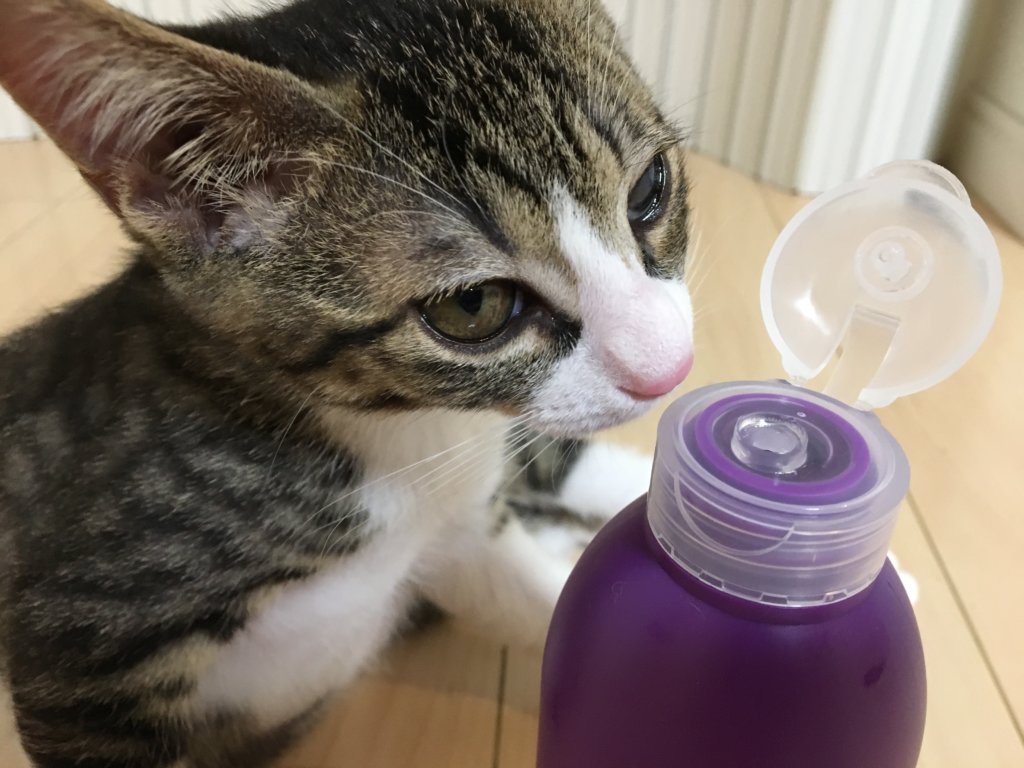 ZOIC　ゾイック　猫　シャンプー