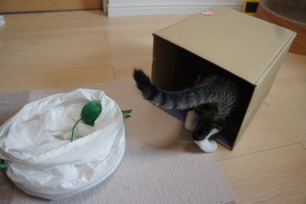 IKEA　トンネル　猫用　おもちゃ　ダンボール