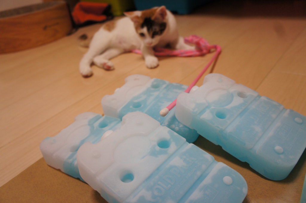 猫用　DIY　自作クーラー　保冷剤