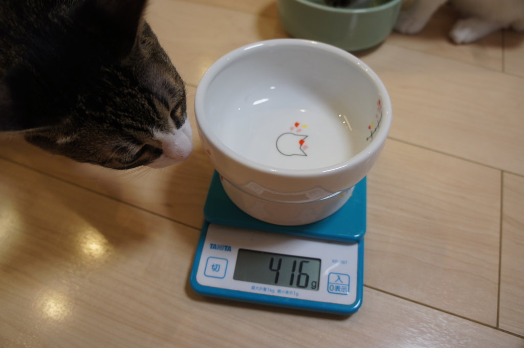 重さ　水飲み皿　猫　つゆ