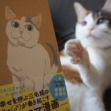 拾い猫のモチャ　感想　レビュー　書籍　三毛猫　保護猫　元野良猫