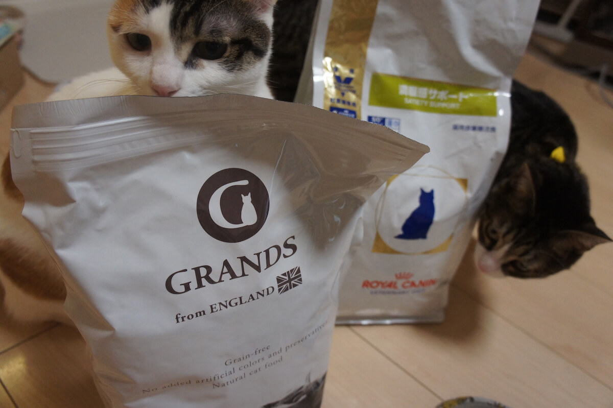 GRANDS グランツ キャットフード レビュー 猫 実際 感想 口コミ
