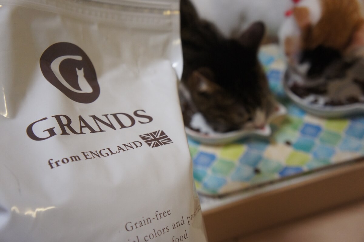 GRANDS（グランツ）」キャットフードレビュー！ウチの猫に実際に食べて 