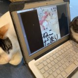 ねこだまり　Kindle　キンドル　猫マンガ　電子書籍　