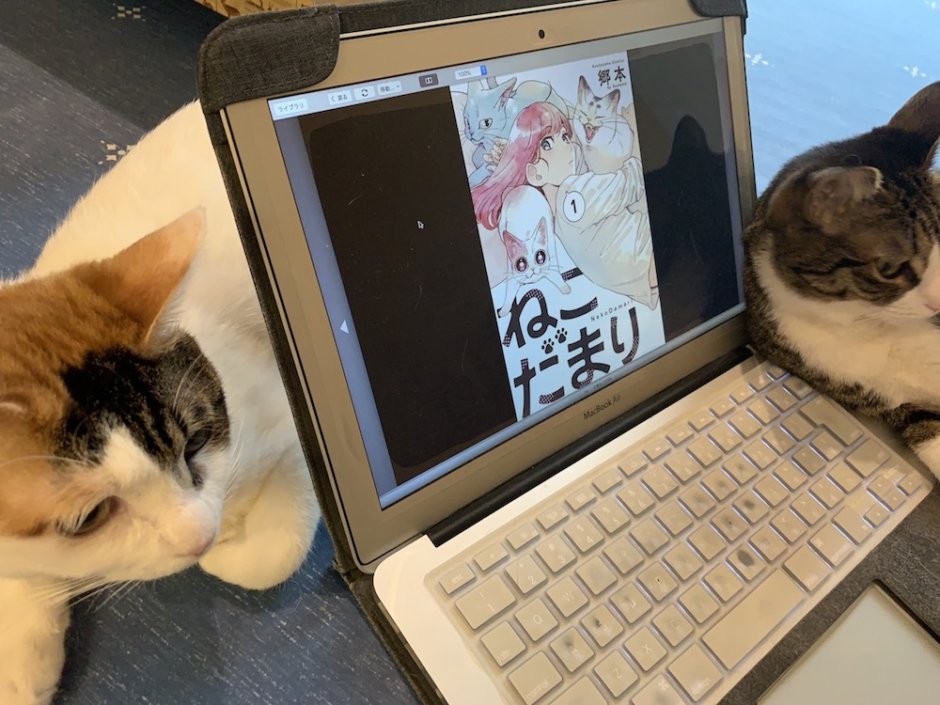 ねこだまり　Kindle　キンドル　猫マンガ　電子書籍　