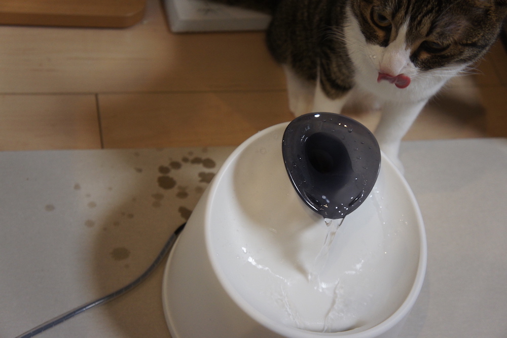 珪藻土マット　バスマット　水飲み場　猫　ウォーターボール　給水器