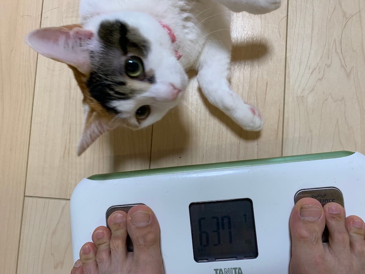 猫　体重　一年　推移　三毛猫　キジ白　グラフ