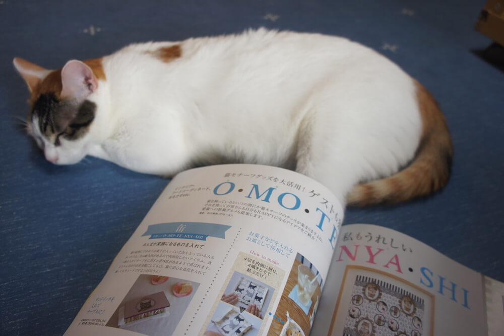 ねこのきもち　猫の気持ち 2019 08月号　購読　感想 猫　オモテニャシ　OMOTENYASHI