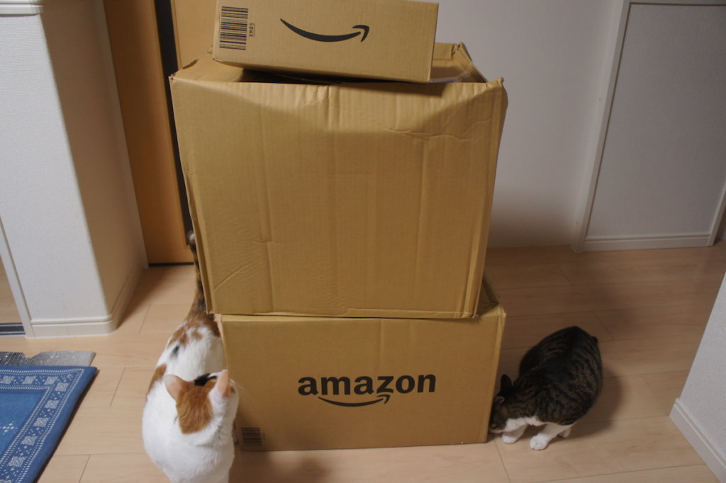 Amazon　プライムデー　アマゾン　買ったもの　ペット用品　猫用品
