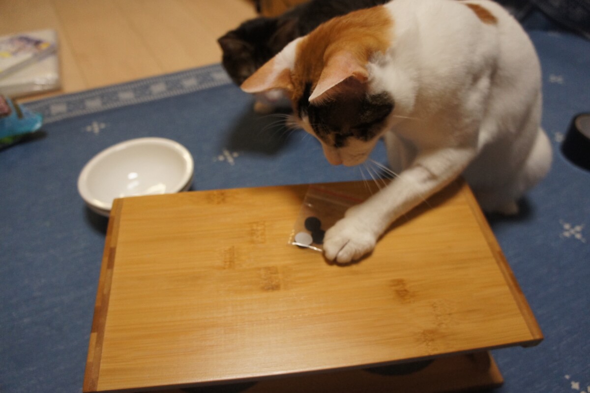 猫用ご飯皿　ボウル２つ　ご飯台　食器台　猫耳　三毛猫　滑り止め