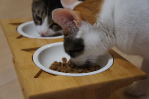 猫用ご飯皿　ボウル２つ　ご飯台　食器台　猫耳　三毛猫　