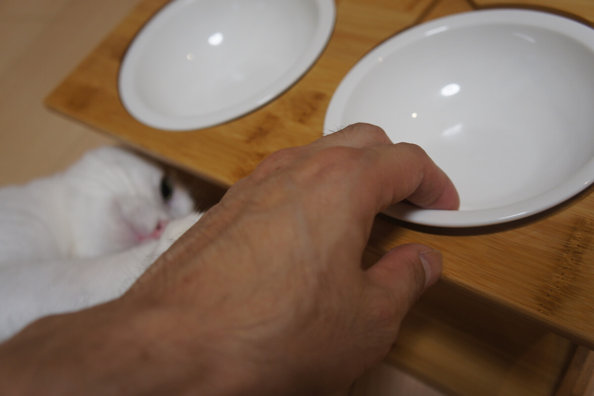 猫用ご飯皿　ボウル２つ　ご飯台　食器台　猫耳　三毛猫　