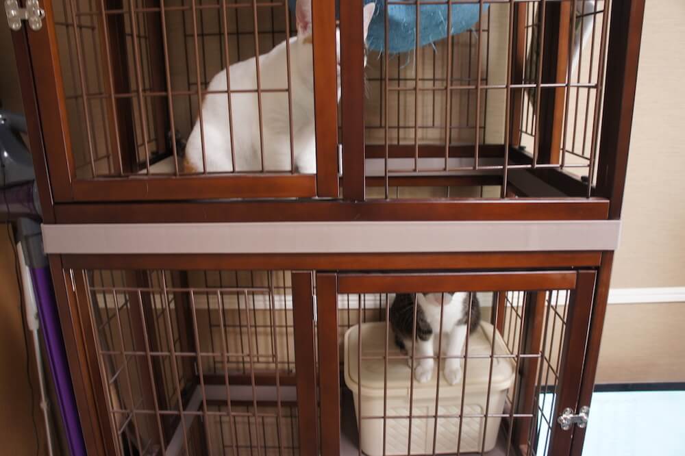 三段ケージ　キャットケージ　ウッドフレーム　木製　レビュー　感想　一年使用　猫　三毛猫　キジ白