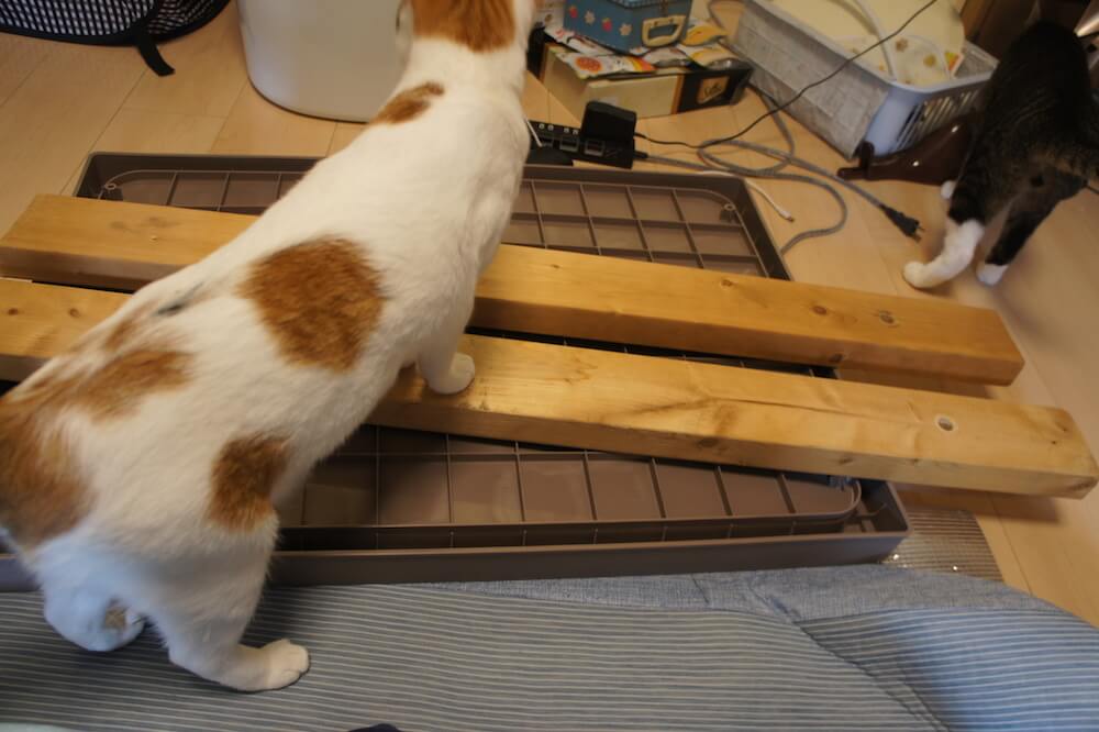 三段ケージ　キャットケージ　ウッドフレーム　木製　レビュー　感想　一年使用　猫　三毛猫　キジ白 傾き　対策　重量オーバー