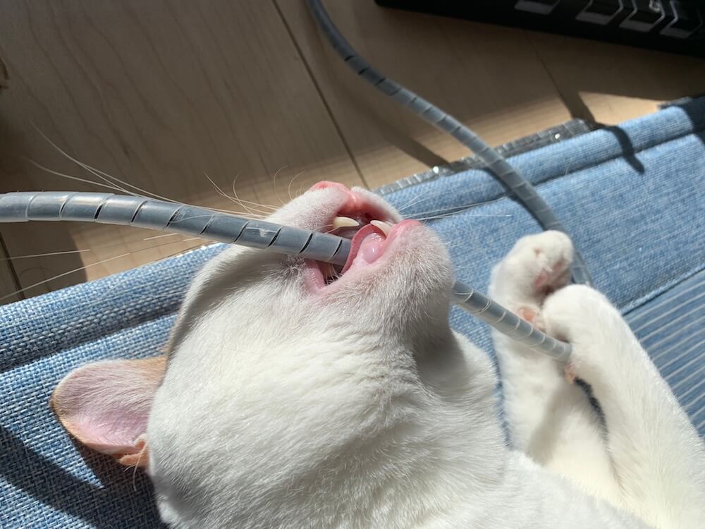 猫　ケーブルカバー　チューブタイプ　噛む　感電防止
