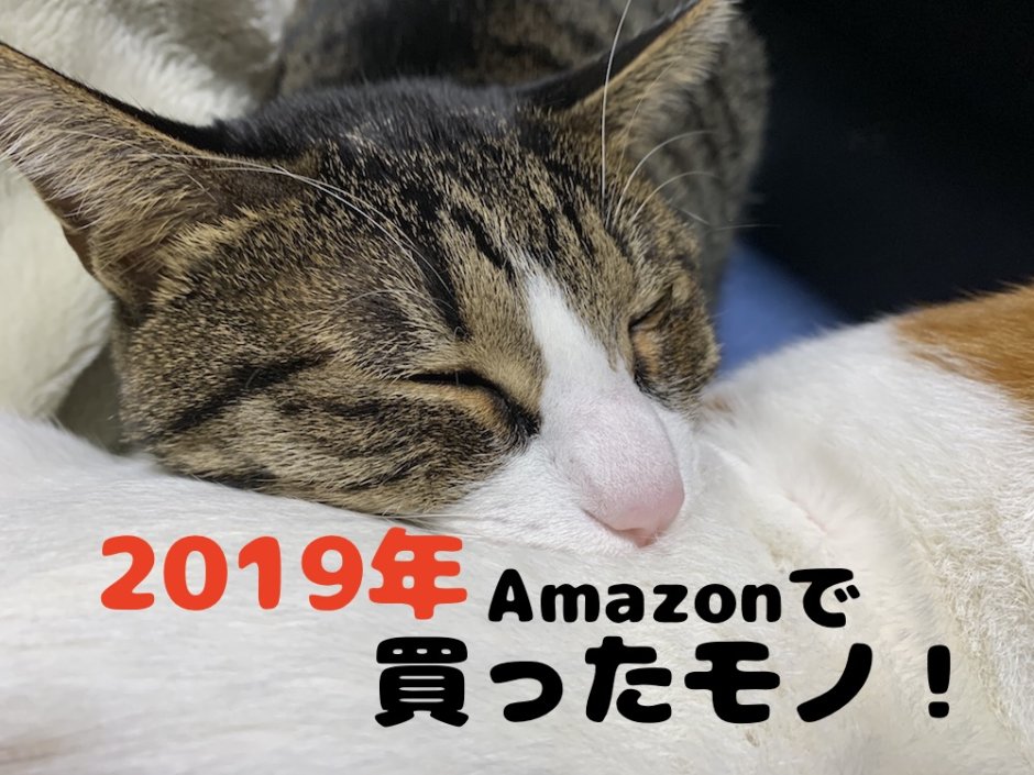 2019　Amazon　買って良かった　買って良くなかった　猫グッズ