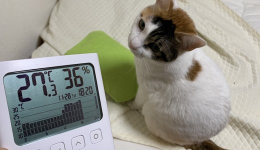 【猫用暖房】自作の湯たんぽハウスで寒い日も安心してお留守番！これでエアコン不要！？