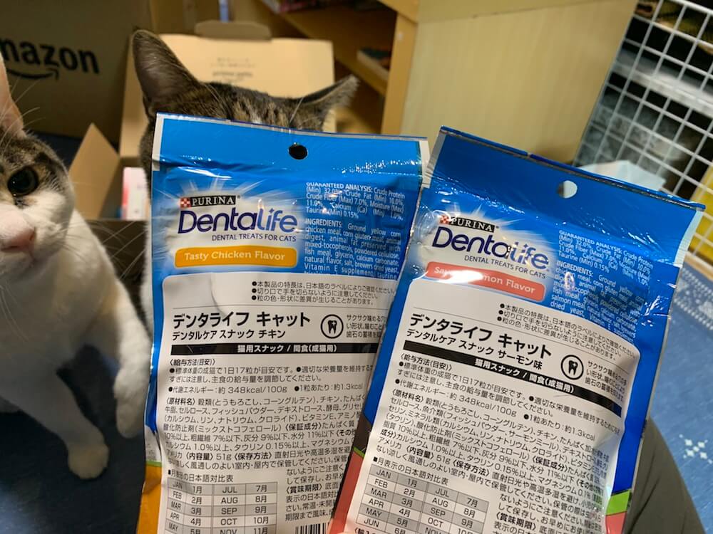Amazon　プライム会員　プライムペット primepets　お試しBOX　猫ちゃんBOX　購入　三毛猫　キジ白