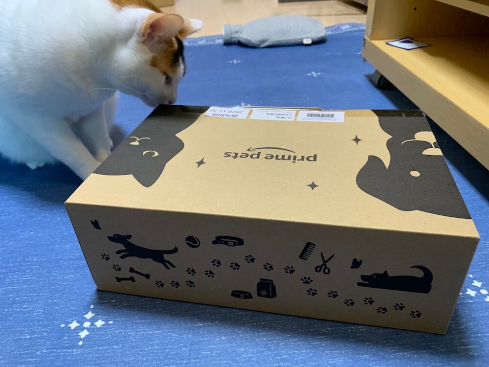 Amazon　プライム会員　プライムペット primepets　お試しBOX　猫ちゃんBOX　購入　三毛猫　キジ白