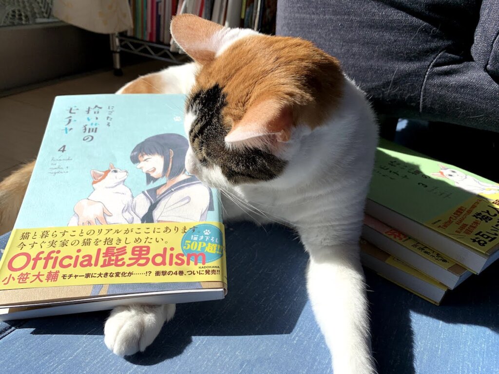 モチャ　三毛猫　ミルク　猫漫画　猫マンガ　感想　レビュー　書評　Twitter　SNS
