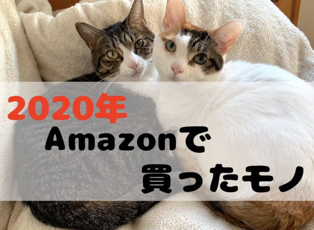 年amazonで買ったオススメな猫グッズを10選 違うところで買ったモノをご紹介 猫雨露霜雪