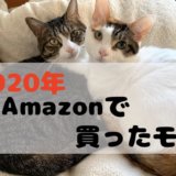Amazon　2020　買った　オススメ　猫グッズ
