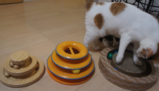 ボールグルグルサークル系おもちゃ３種比較！実際に猫に遊んでもらった感想です！