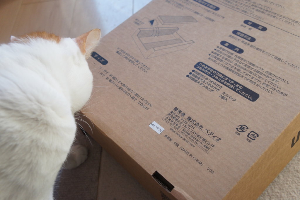 Amazon ダンボール ボックス つめみがき 爪とぎ キジ白 三毛猫 猫ブログ