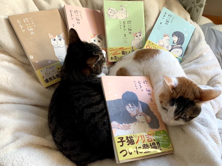 モチャ　三毛猫　ミルク　猫漫画　猫マンガ　感想　レビュー　書評　Twitter　SNS ５巻