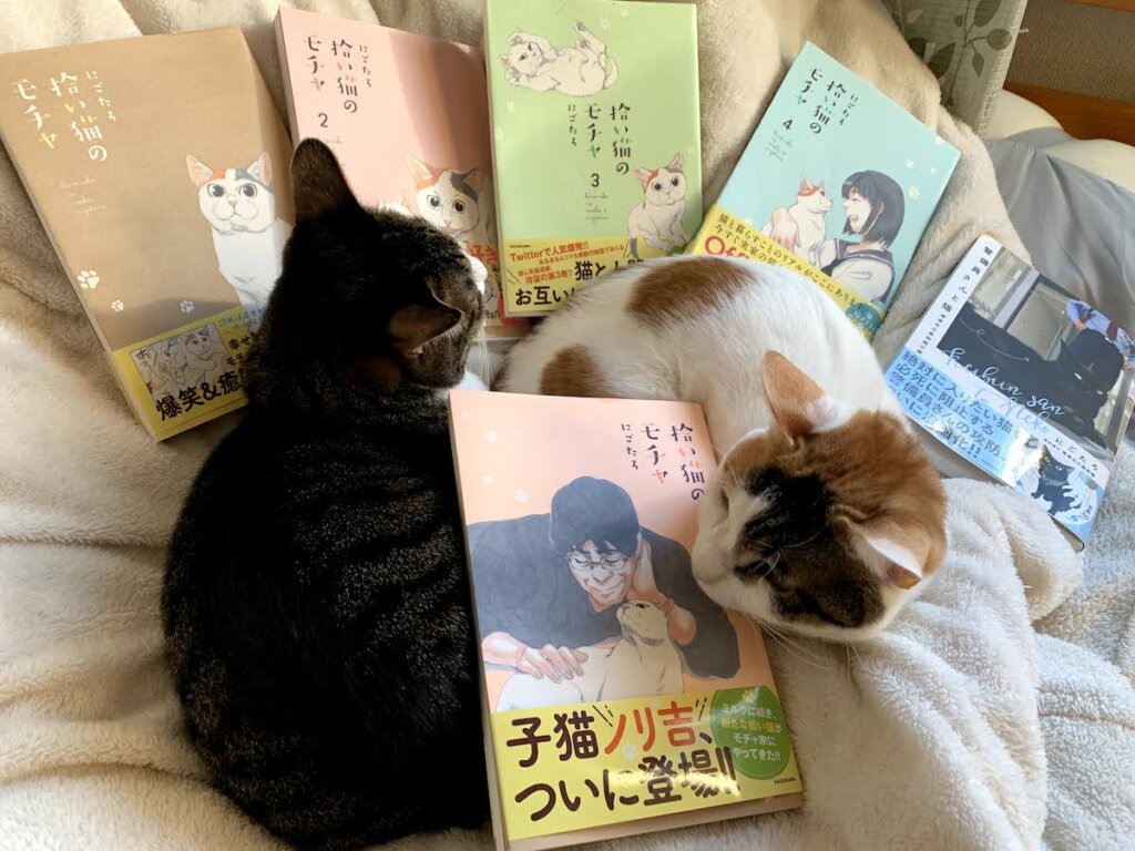 モチャ　三毛猫　ミルク　猫漫画　猫マンガ　感想　レビュー　書評　Twitter　SNS ５巻
