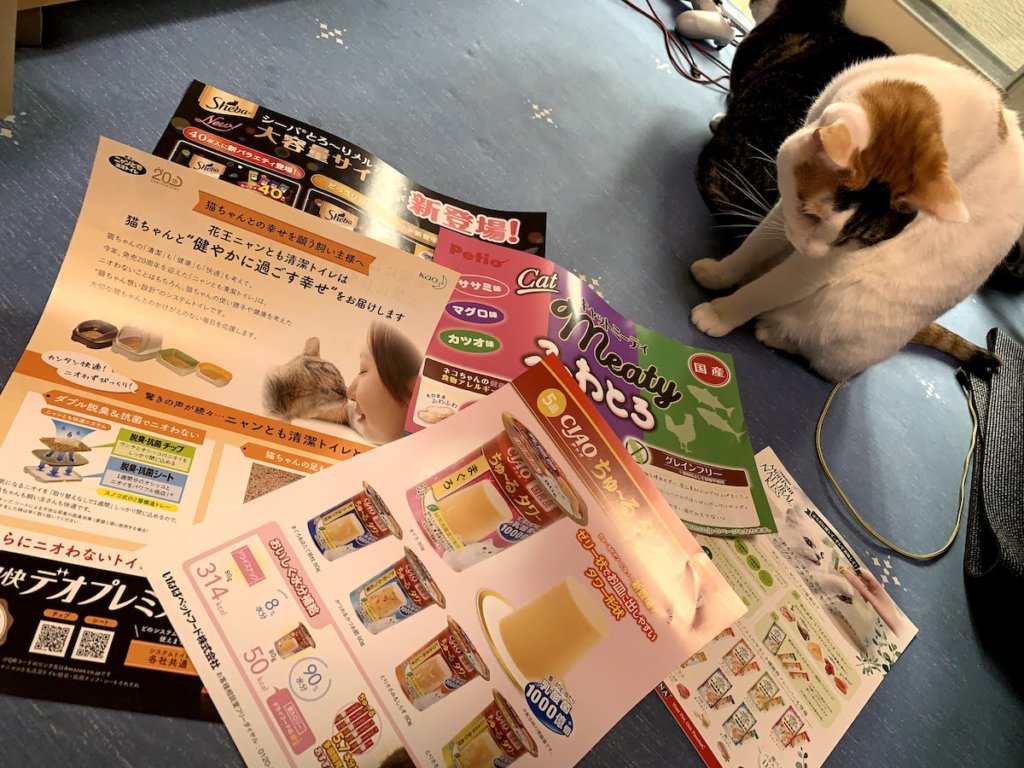 PetProfiles Amazon 試供品BOX 開封 三毛猫 キジ白