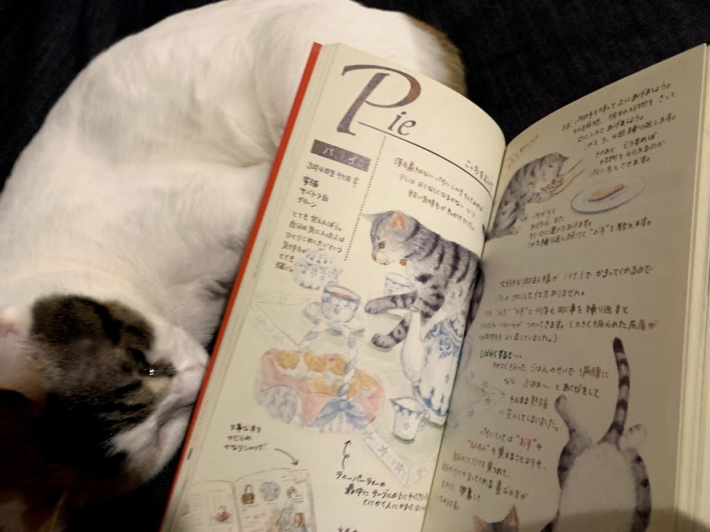 猫本屋 Cat'sMeowBooks キャットミャウブックス 2021年 福袋 三軒茶屋 西太子堂