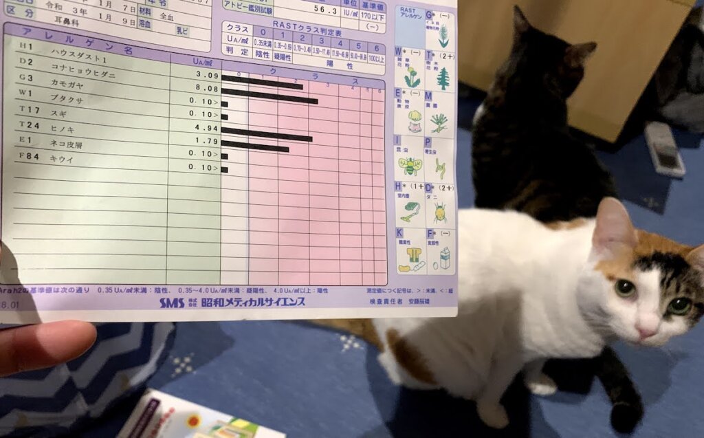 猫アレルギーか血液検査で確認してみた どこで受けた 費用や期間などをお伝えします 猫雨露霜雪