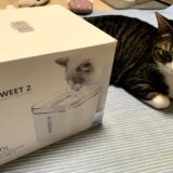 ブログ ネコ レビュー 感想 猫用自動給水器 PETKIT ペットキット 2nd世代 オススメ 使用感 フィルター お手入れ方法