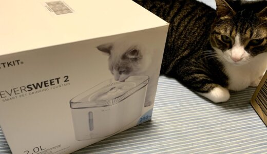 猫用自動給水器PETKIT(ペットキット)2nd世代オススメ！使用感やフィルターなどのお手入れ方法をご紹介します！