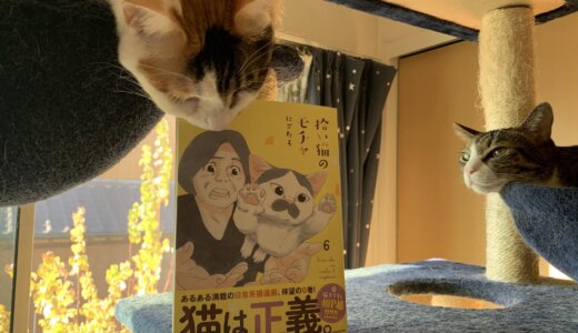 【感想：拾い猫のモチャ６】ノリ吉が主役の第６巻！モチャやミルクはすっかり大人の猫になりました！