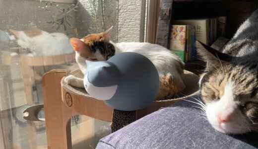 【レビュー】猫型湯たんぽ「キャットウォーマー」は見た目が可愛いだけの暖房アイテムです。