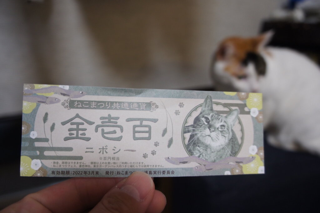 ねこまつり at 湯島　文京区　猫　イベント　2022 2月 23日