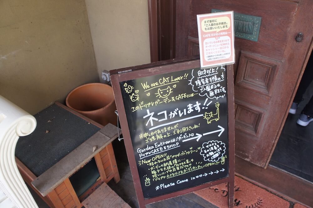 猫カフェ　君津市　千葉県　ドリプレ　ローズガーデン　バラ園