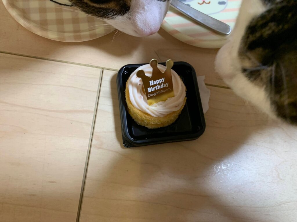 猫　誕生日　愛猫用ケーキ　ケーキ　スイーツ　誕生日ケーキ　バースデイケーキ