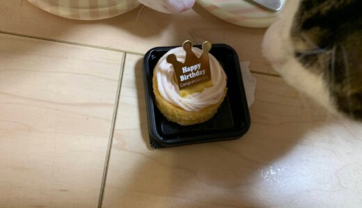 4月22日は誕生日！無事４歳になった「あめ」と「つゆ」はシーバにケーキにアイスを堪能しました！