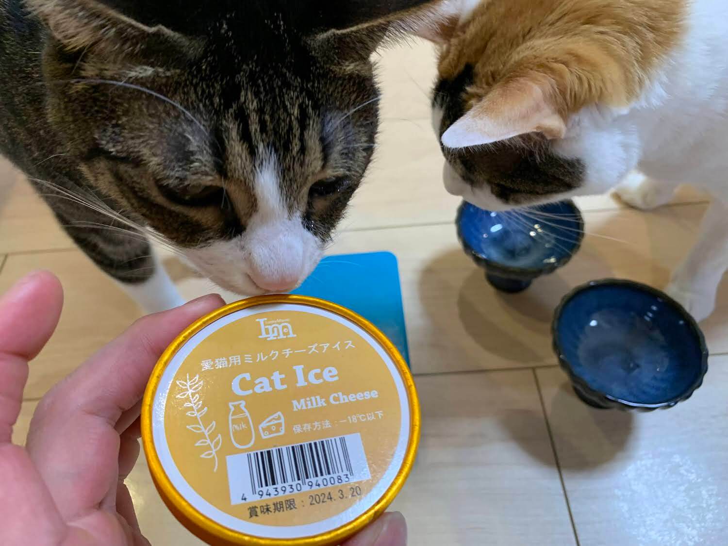 愛猫用ミルクチーズアイス　猫　スイーツ　アイス