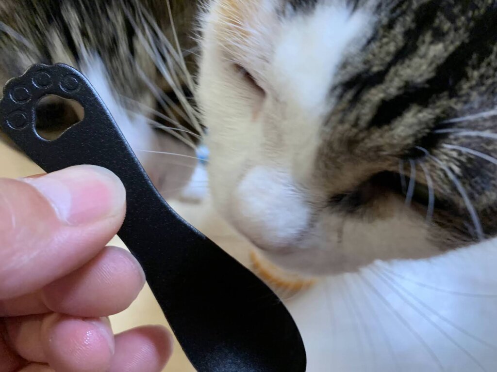 愛猫用ミルクチーズアイス　猫　スイーツ　アイススプーン　ダイソー　